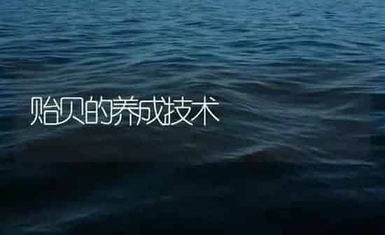 贻贝的养成技术 | 海水养殖