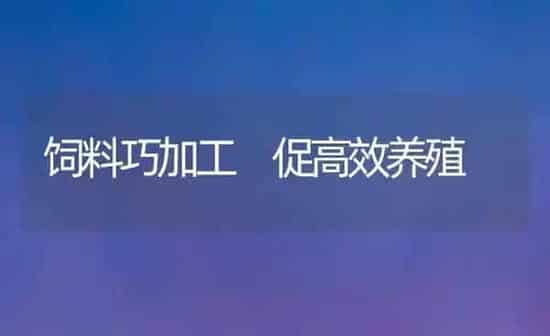 饲料巧加工 促高效养殖 | 动物养殖饲料