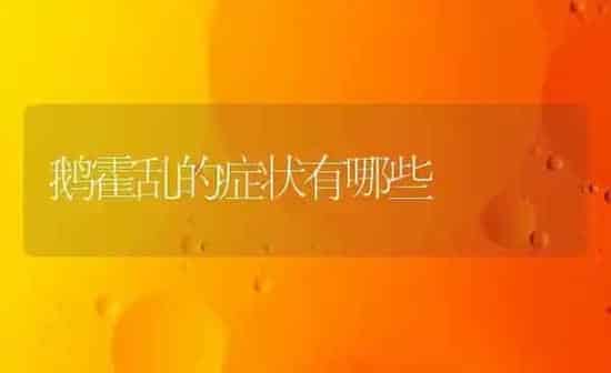 鹅霍乱的症状有哪些 | 家禽养殖