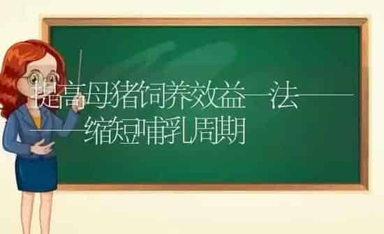 提高母猪饲养效益一法————缩短哺乳周期 | 家畜养殖