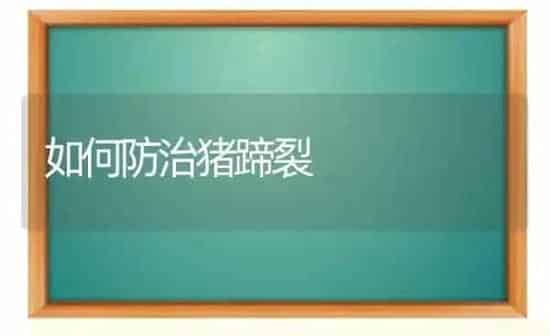 如何防治猪蹄裂 | 家畜养殖