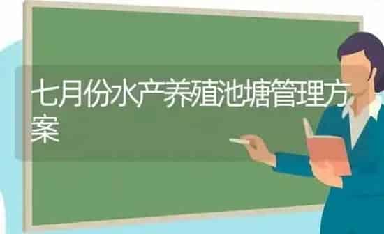 七月份水产养殖池塘管理方案 | 动物养殖百科