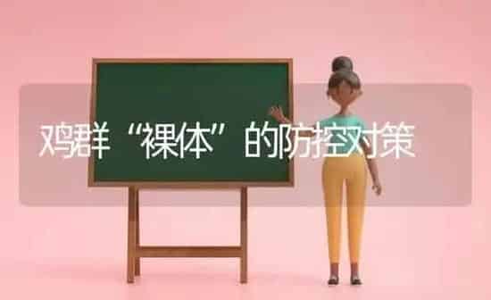 鸡群“裸体”的防控对策 | 家禽养殖