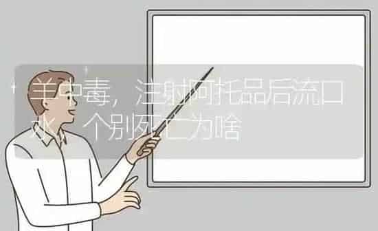 羊中毒，注射阿托品后流口水，个别死亡为啥 | 家畜养殖