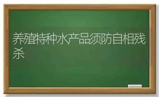 养殖特种水产品须防自相残杀 | 动物养殖百科