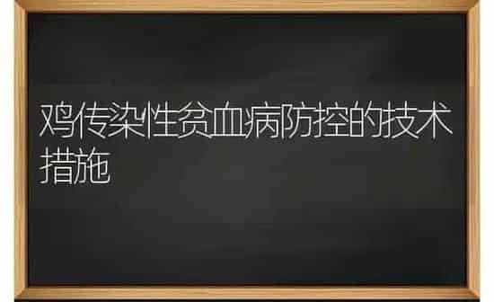 鸡传染性贫血病防控的技术措施 | 家禽养殖