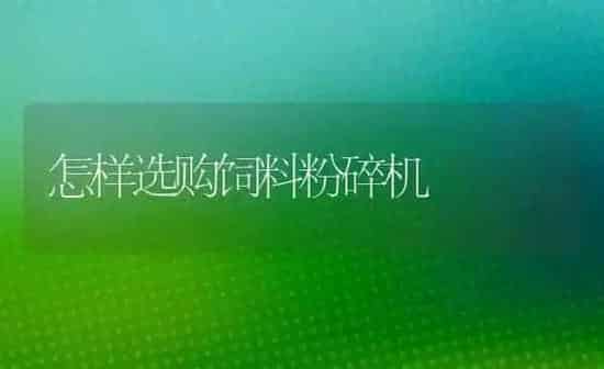 怎样选购饲料粉碎机 | 动物养殖饲料