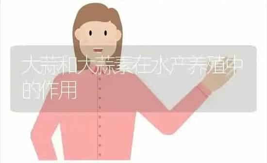 大蒜和大蒜素在水产养殖中的作用 | 动物养殖百科