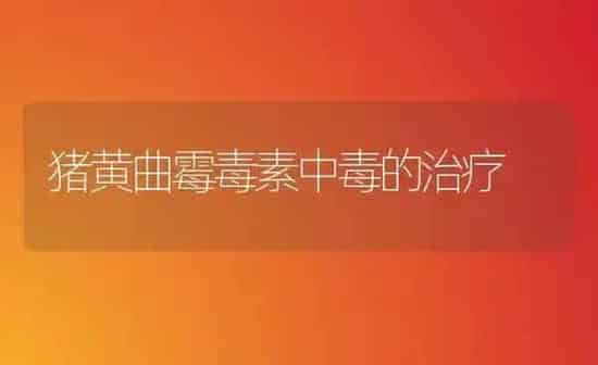 猪黄曲霉毒素中毒的治疗 | 家畜养殖