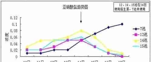 强力倍生源在南美白对虾养殖使用效果分享