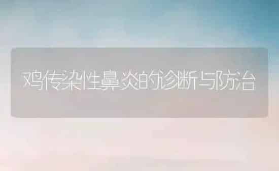 鸡传染性鼻炎的诊断与防治 | 家禽养殖