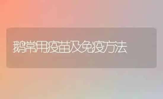鹅常用疫苗及免疫方法 | 家禽养殖