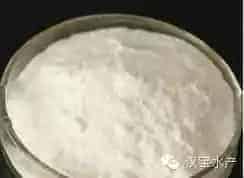水产养殖过程中六种常见微生态制剂简介