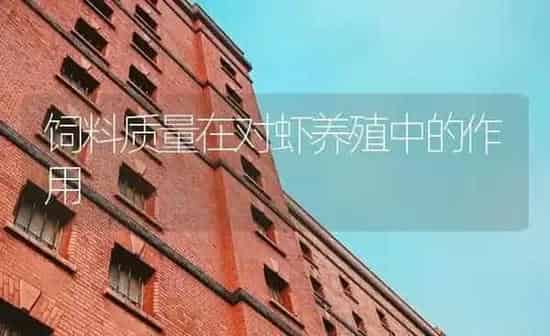饲料质量在对虾养殖中的作用 | 海水养殖