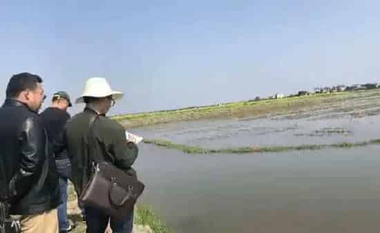 养殖户使用青苔药引起的虾蟹死亡，责任在哪？