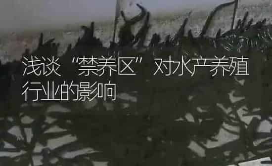 浅谈“禁养区”对水产养殖行业的影响