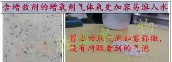 夏季水产养殖户如何保持池塘溶解氧？