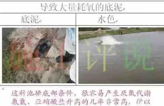 水产养殖过程中增氧机的作用和使用方法