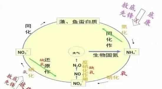 水产养殖过程中增氧机的作用和使用方法