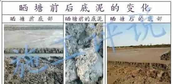 夏季水产养殖户如何保持池塘溶解氧？