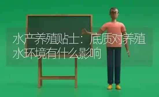 水产养殖贴士：底质对养殖水环境有什么影响 | 动物养殖百科