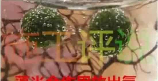 水产养殖过程中增氧机的作用和使用方法