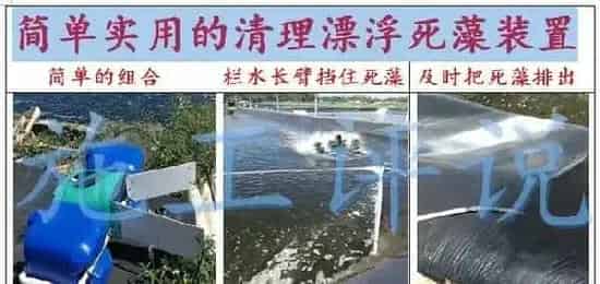 夏季水产养殖户如何保持池塘溶解氧？