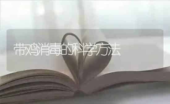 带鸡消毒的科学方法 | 家禽养殖