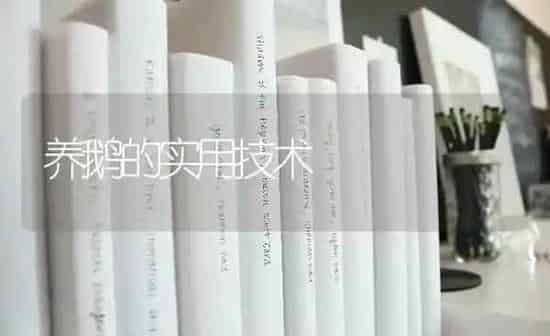 养鹅的实用技术 | 家禽养殖