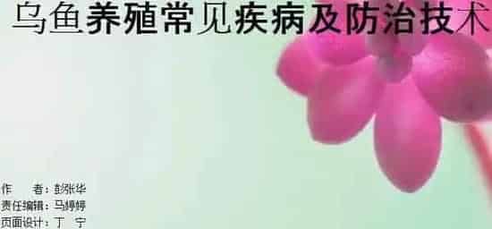 黑鱼养殖五种常见疾病及防治技术