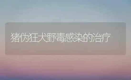 猪伪狂犬野毒感染的治疗 | 家畜养殖