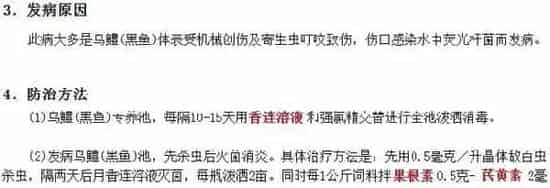 黑鱼养殖五种常见疾病及防治技术