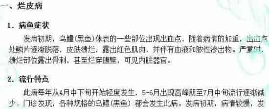 黑鱼养殖五种常见疾病及防治技术