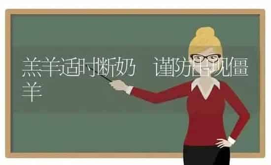 羔羊适时断奶 谨防出现僵羊 | 家畜养殖
