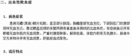 黑鱼养殖五种常见疾病及防治技术