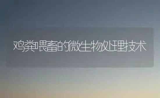 鸡粪喂畜的微生物处理技术 | 家禽养殖