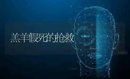 羔羊假死的抢救 | 家畜养殖