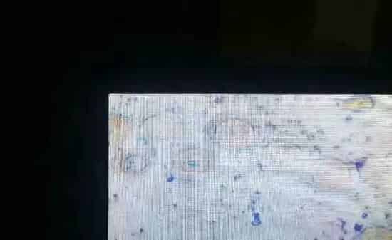 培育四大家鱼、鲮鱼苗种实用技术
