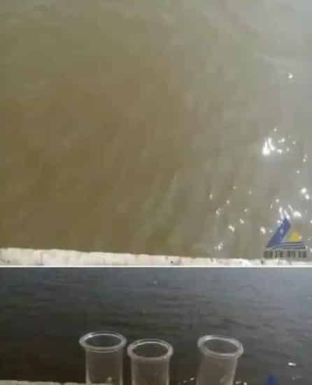 珠海地区瘦水投放红鲉鱼苗一例