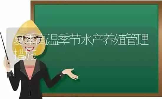 夏季高温季节水产养殖管理措施 | 动物养殖百科