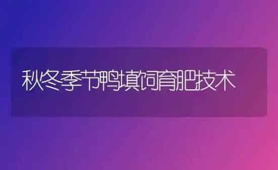 秋冬季节鸭填饲育肥技术 | 家禽养殖