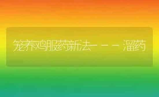 笼养鸡服药新法---溜药 | 养殖病虫害防治