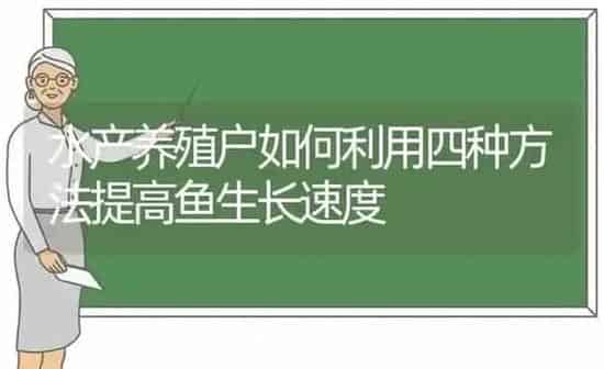 水产养殖户如何利用四种方法提高鱼生长速度 | 动物养殖百科