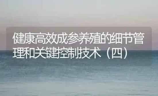健康高效成参养殖的细节管理和关键控制技术（四） | 海水养殖