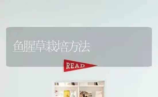 鱼腥草栽培方法 | 淡水养殖