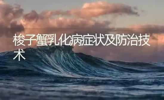 梭子蟹乳化病症状及防治技术 | 养殖病虫害防治