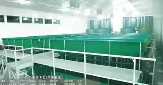 揭秘一种鱼类养殖密度高达每立方米80千克的工厂化养殖模式