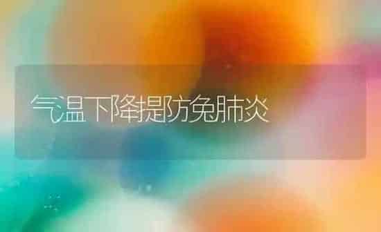 气温下降提防兔肺炎 | 家畜养殖