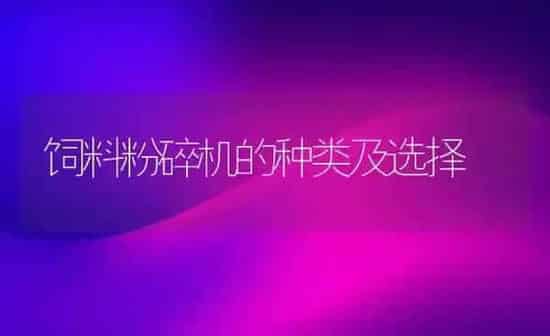 饲料粉碎机的种类及选择 | 动物养殖饲料
