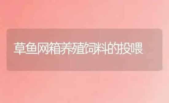 草鱼网箱养殖饲料的投喂 | 动物养殖饲料